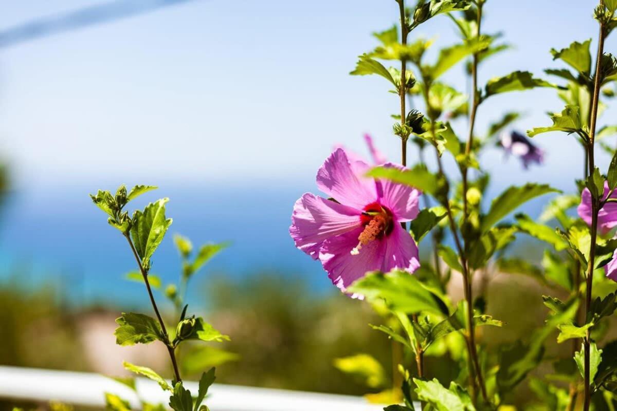 Aigli Summer Getaway - Seaview Lux Retreat Verga Kalamata Esterno foto
